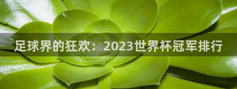 世界杯比赛直播:足球界的狂欢:2023世界杯冠军排行