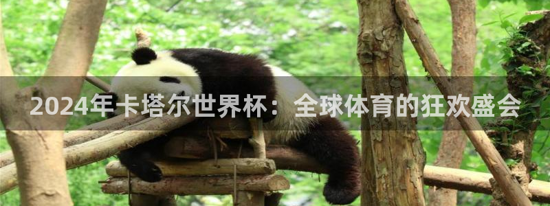世界杯预选赛欧洲:2024年卡塔尔世界杯:全球体育的狂欢盛会