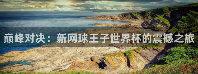 世界杯欧洲区预选赛:巅峰对决:新网球王子世界杯的震撼之旅