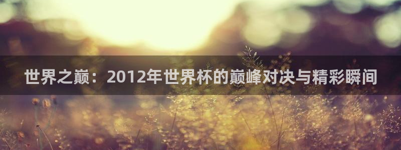2026世界杯亚洲区预选赛:世界之巅:2012年世界杯的巅峰对决与精彩瞬间