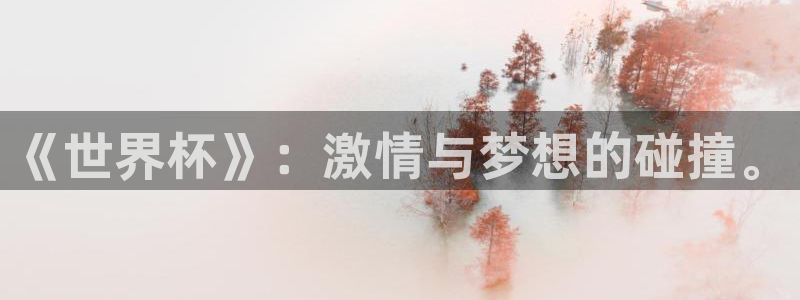 欧联杯直播:《世界杯》:激情与梦想的碰撞。