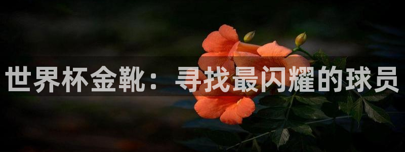 2026世预赛全部赛程:世界杯金靴:寻找最闪耀的球员