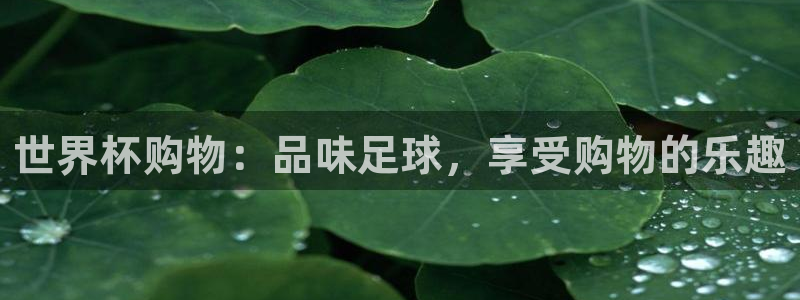 看世界杯:世界杯购物:品味足球,享受购物的乐趣