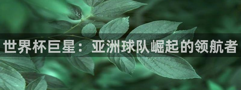 世界杯直播时间:世界杯巨星:亚洲球队崛起的领航者