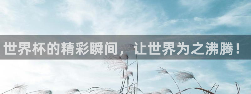 世界杯48支球队赛制:世界杯的精彩瞬间,让世界为之沸腾!